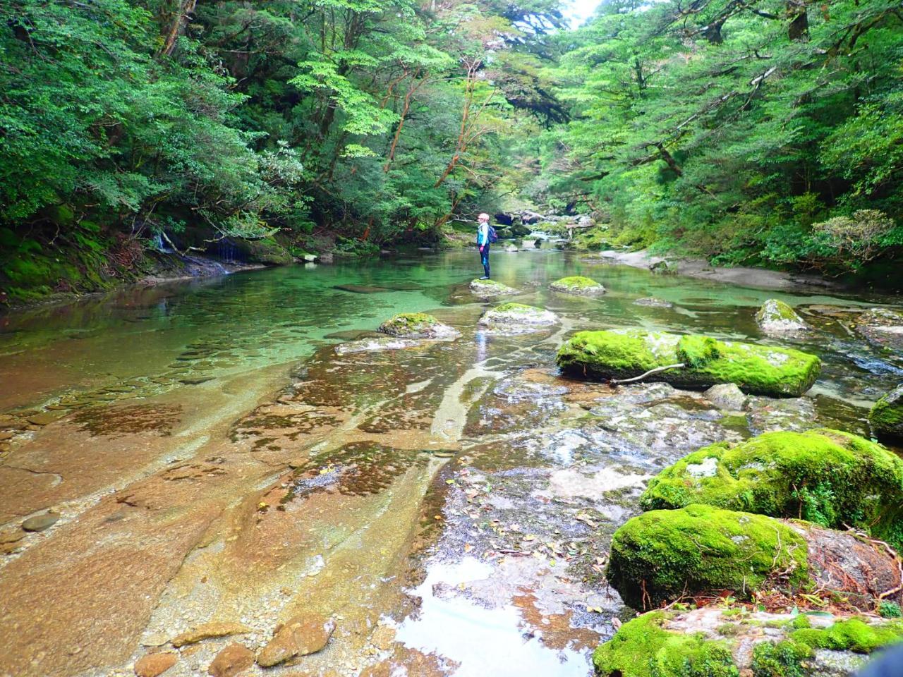 Yakushima Cottage Morino Fairy All Cotage With Open-Air Bath Extérieur photo